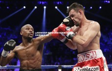 yy易游体育官网-弗莱堡对阵沃尔夫斯堡的激烈对决，沃尔夫斯堡和弗莱堡