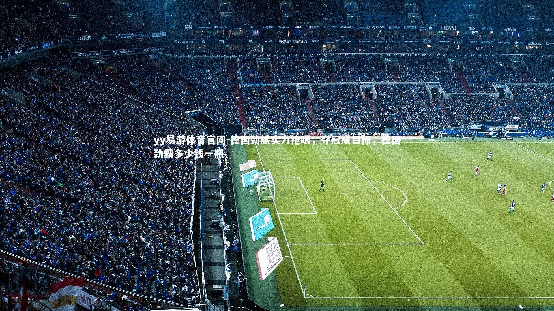 yy易游体育官网-德国劲旅实力抢眼，夺冠成目标，德国劲霸多少钱一瓶