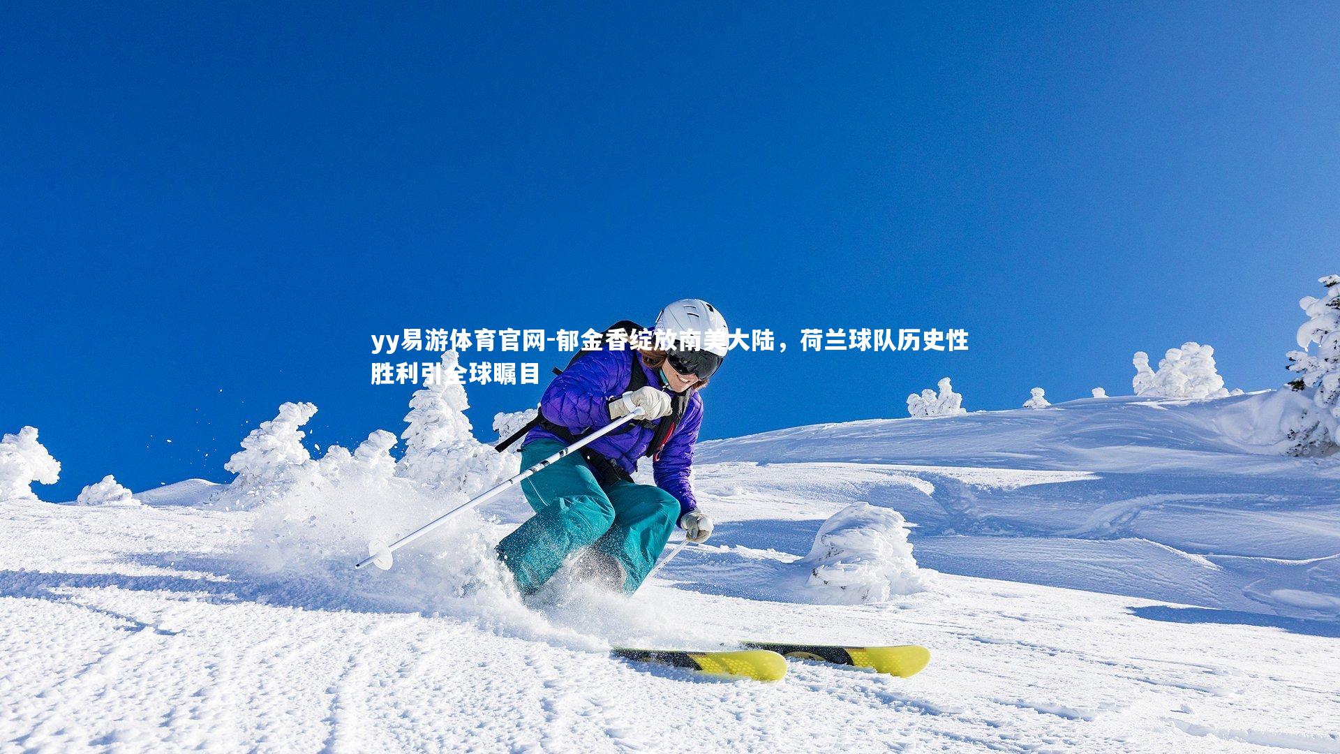 郁金香绽放南美大陆，荷兰球队历史性胜利引全球瞩目