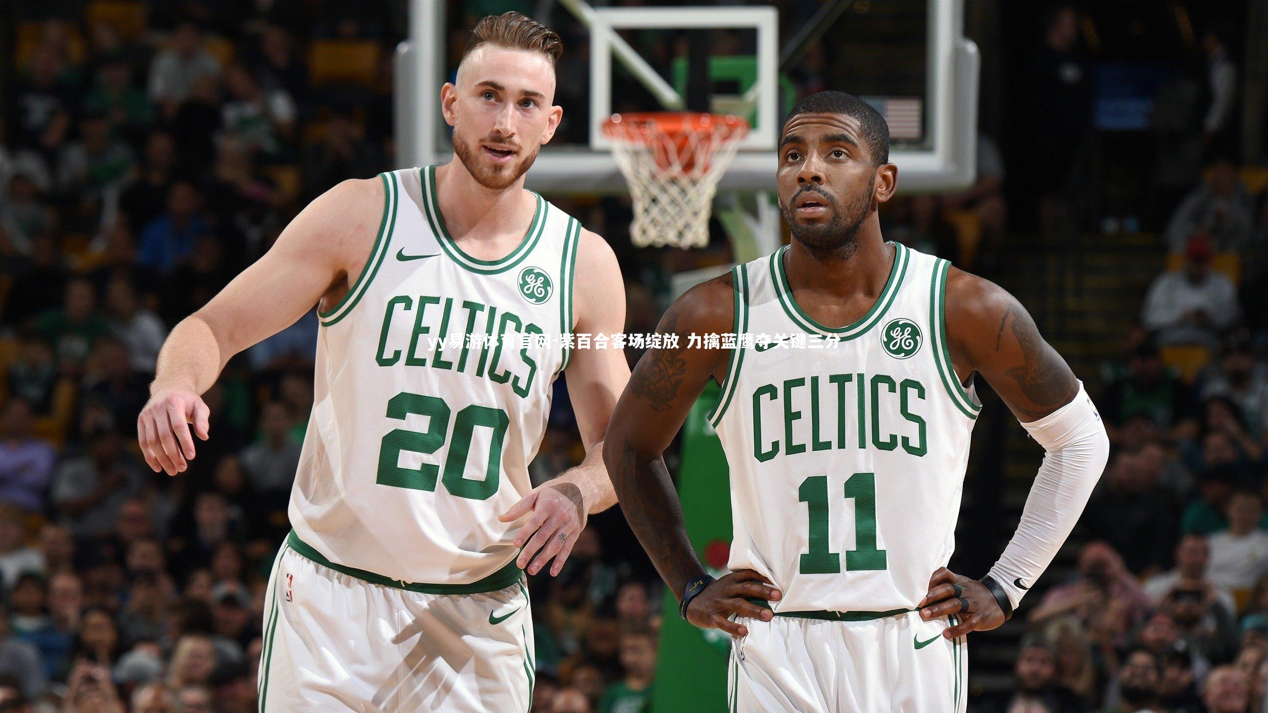 紫百合客场绽放 力擒蓝鹰夺关键三分